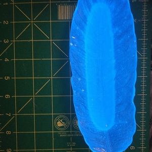 Glow in the dark feather candy tray